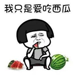 娱乐吃瓜头像图片大全,海量娱乐吃瓜头像大盘点