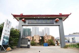 娱乐吃瓜酱临沂大学,娱乐吃瓜酱背后的故事